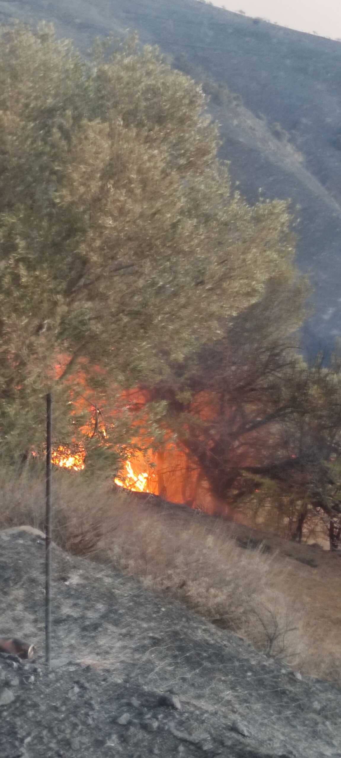 Φωτιά στο Ρέθυμνο: Για τρίτη μέρα συνεχίζεται η μάχη με τις φλόγες – Επιχειρούν ξανά τα εναέρια μέσα