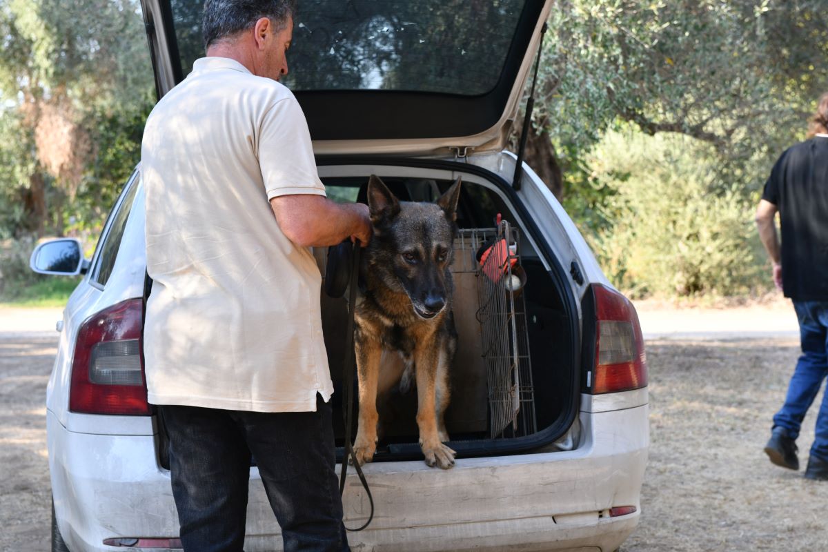 Όλα όσα έγιναν στο γλέντι Κασσελάκη - Μακμπέθ στο πολυτελές κτήμα - Οι διπλοί έλεγχοι, η αφαίρεση των κινητών, τα μίνι μπας και η Φάρλι