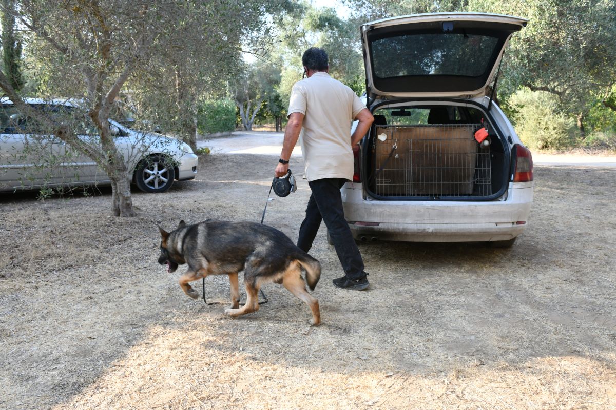 Όλα όσα έγιναν στο γλέντι Κασσελάκη - Μακμπέθ στο πολυτελές κτήμα - Οι διπλοί έλεγχοι, η αφαίρεση των κινητών, τα μίνι μπας και η Φάρλι