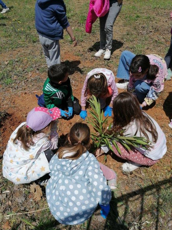 Η Αττική Οδός έδωσε ξανά ζωή σε πνεύμονες πρασίνου που επλήγησαν από πυρκαγιές