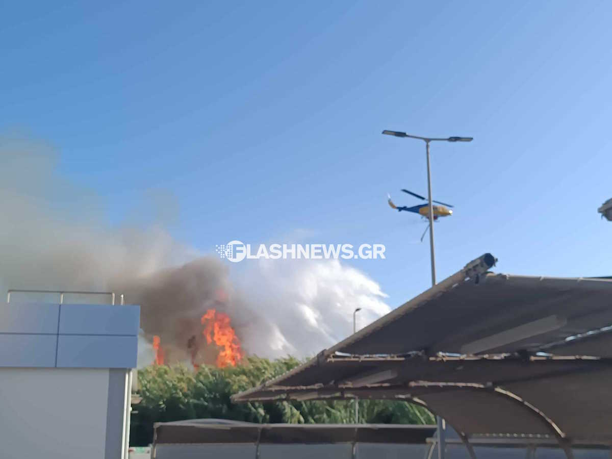 Υπό έλεγχο η μεγάλη φωτιά στον Πλατανιά Χανίων που απείλησε σπίτια και ξενοδοχεία - Εικόνες από την πύρινη λαίλαπα