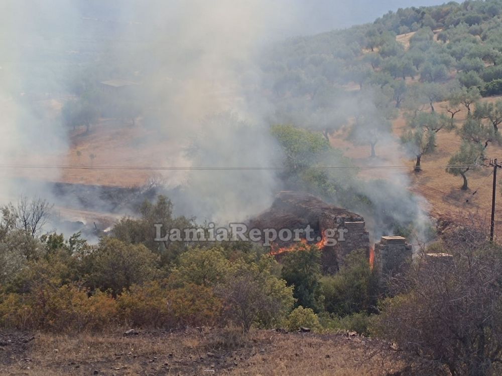 Φωτιά στη Λάρυμνα Φθιώτιδας – Ρίψεις νερού από 2 αεροσκάφη και 1 ελικόπτερο