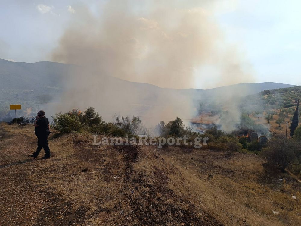 Φωτιά στη Λάρυμνα Φθιώτιδας – Ρίψεις νερού από 2 αεροσκάφη και 1 ελικόπτερο