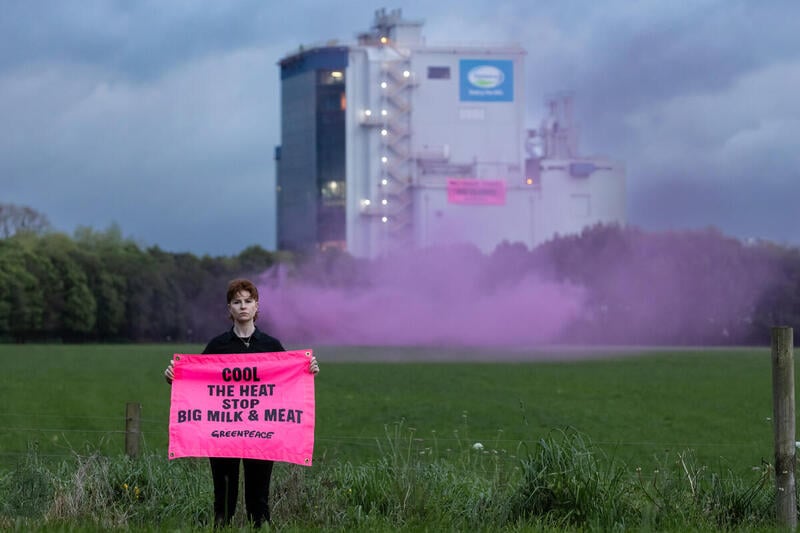 Έρευνα Greenpeace: Οι εκπομπές μεθανίου των εταιρειών κρέατος και γαλακτοκομικών ανταγωνίζονται αυτές των ορυκτών καυσίμων