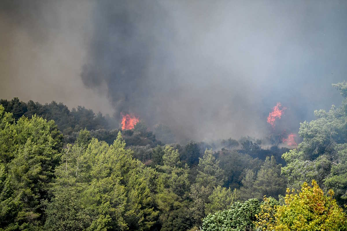 Ολονύχτια μάχη με διάσπαρτες εστίες φωτιάς στο Γεράκι Ηλείας - Στο νοσοκομείο του Ρίου ο τραυματισμένος πυροσβέστης