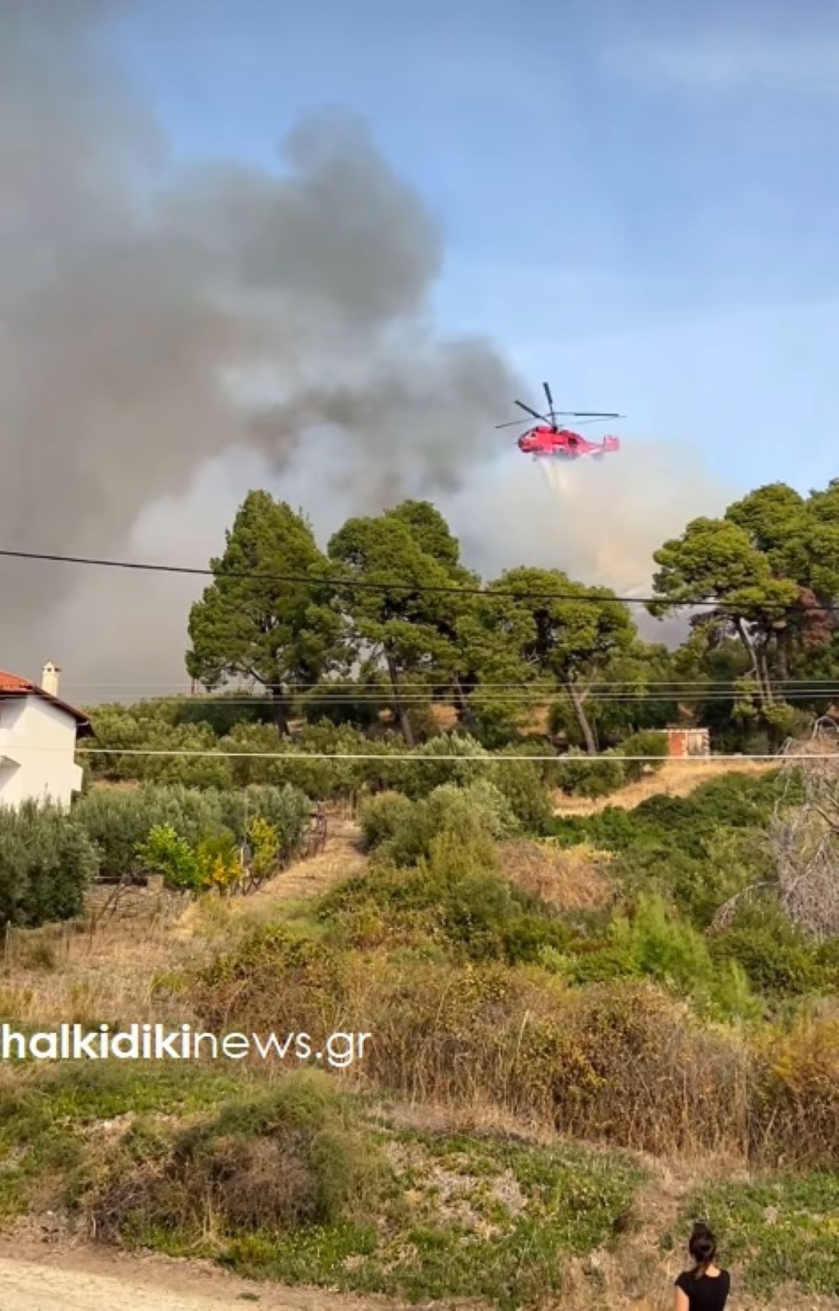 Μεγάλη φωτιά στη Χαλκιδική, στον δήμο Σιθωνίας – Εντολή εκκένωσης από το 112, καίει κοντά σε σπίτια