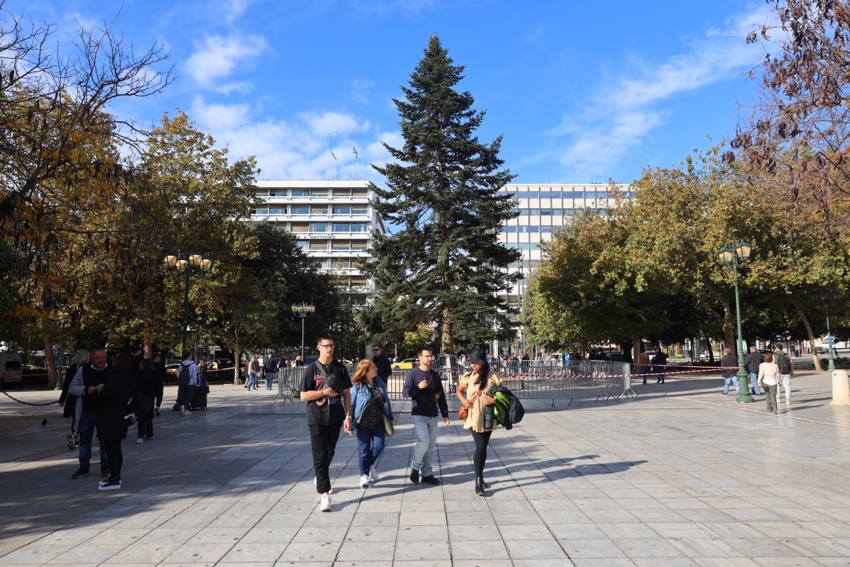 Το χριστουγεννιάτικο δέντρο τοποθετήθηκε στο Σύνταγμα