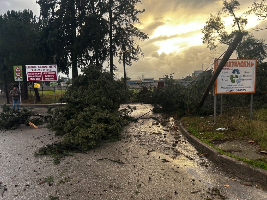 Καιρός – Αγρίνιο: Ανεμοστρόβιλος κατέστρεψε μεγάλα δέντρα, εικόνες καταστροφής