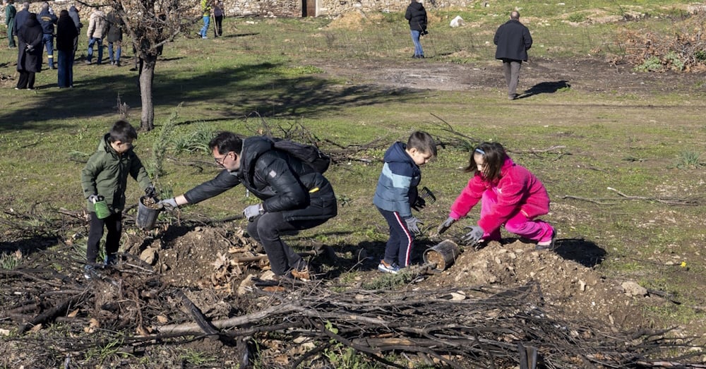 Εθελοντική αναδάσωση της Ιεράς Μονής Πεντέλης από τους υπαλλήλους της Nova