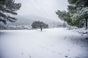 Χιόνια στη Λέσβο